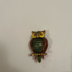 Colorful Owl Brooch